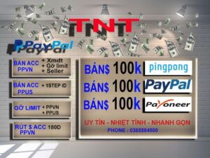 Tại sao bạn lại chọn giao dịch Paypal, Payoneer, Pingpongx, USDT... với #MrTien87 ở #cavimail